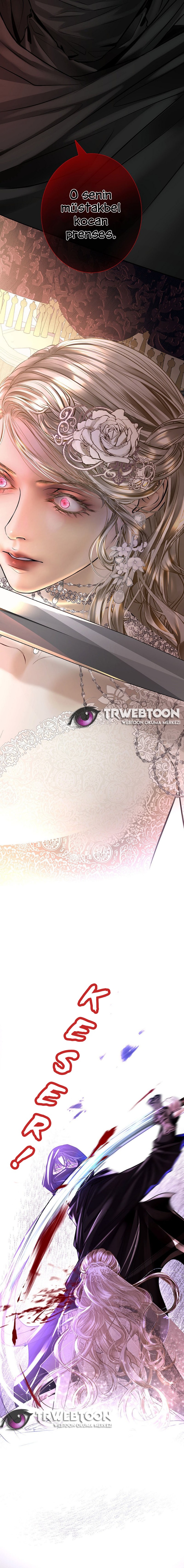 His Duchess Is A Ghost His Duchess is a Ghost 1. Bölüm - Türkçe Webtoon Oku