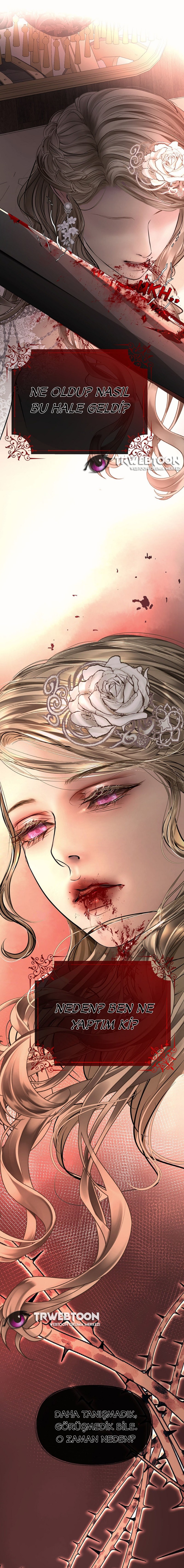 His Duchess Is A Ghost His Duchess is a Ghost 1. Bölüm - Türkçe Webtoon Oku