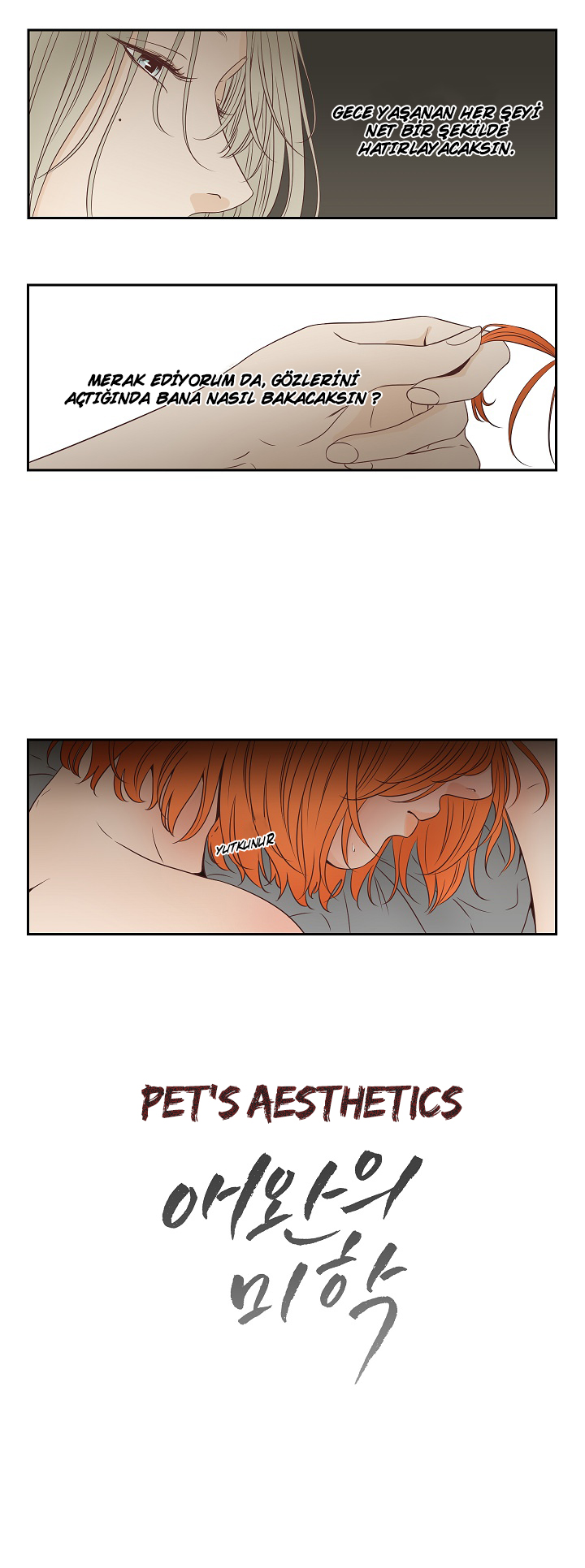 The Mob Boss's Pet Webtoon Pet's Aesthetics 0. Bölüm - Türkçe Webtoon Oku